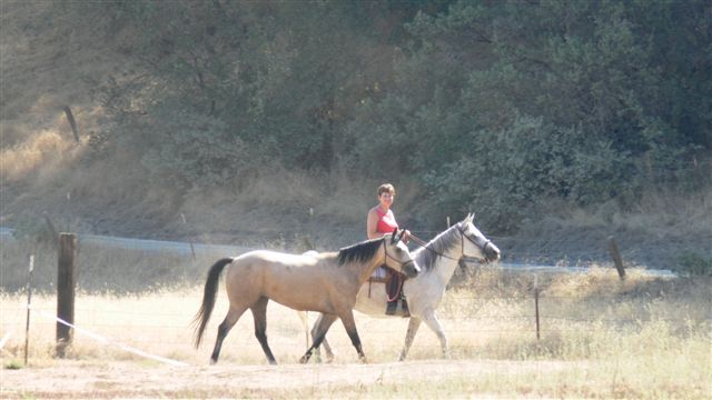 “…great sensuous song of life…”