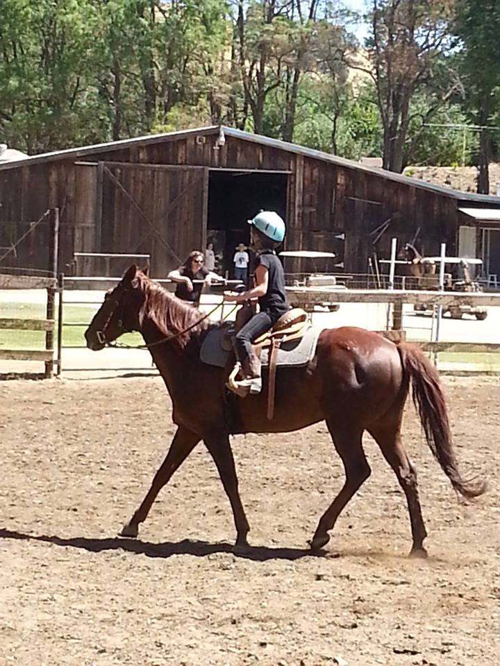 I Am A Teacher of Horse&nbsp;Passion