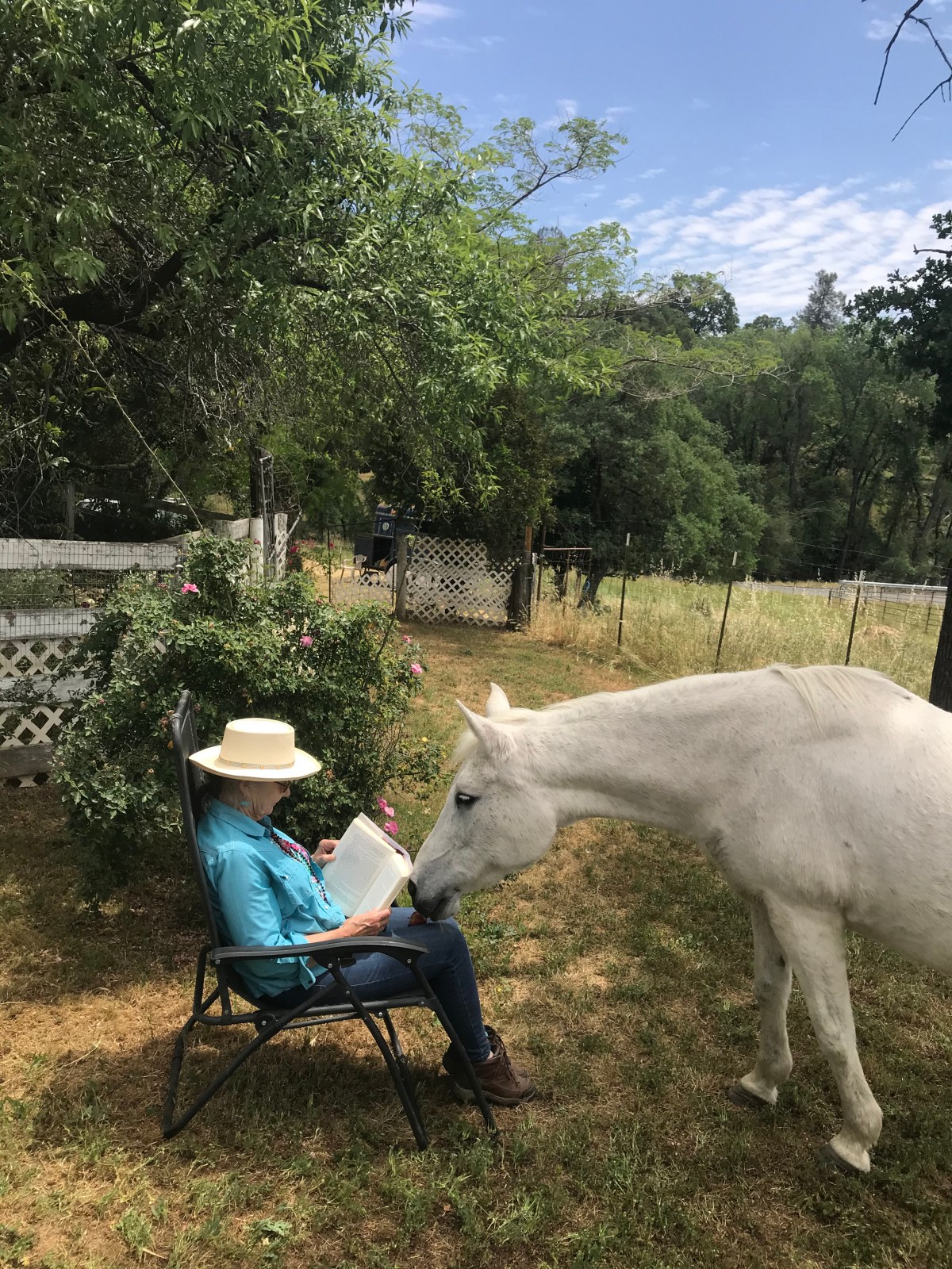 Horse Books for Grown&nbsp;Ups